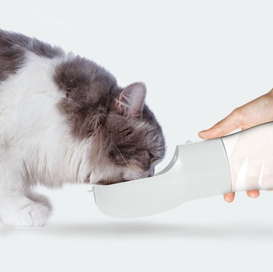 Pet Water Dispenser