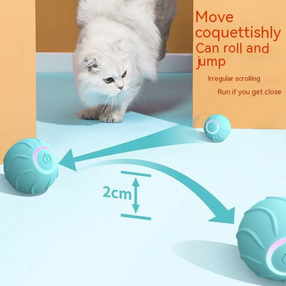 Smart Pet Toys Rolling Ball