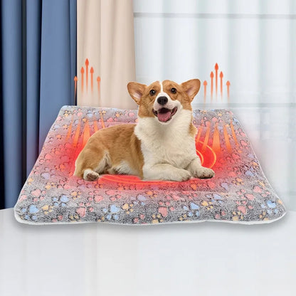 Pets Bed